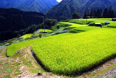 安心する風景