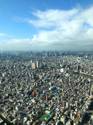 世界ふしぎ発見 東京スカイツリー パワースポット伝説 11月10日21時から